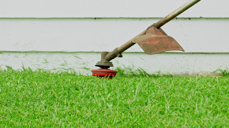 Best Lawn Watering Services  in USA